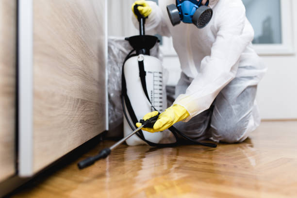 Best Affordable Pest Control Services  in Rogersville, AL