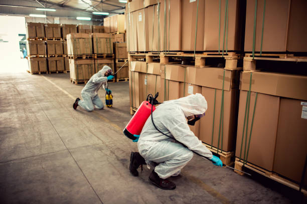 Best Wildlife Control Services  in Rogersville, AL