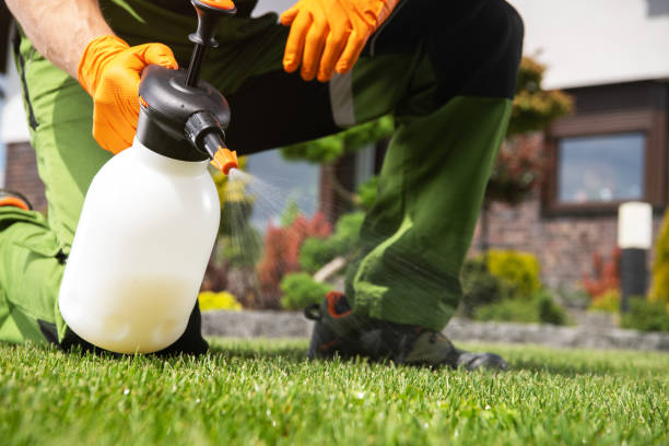 Best Pest Removal Services  in Rogersville, AL