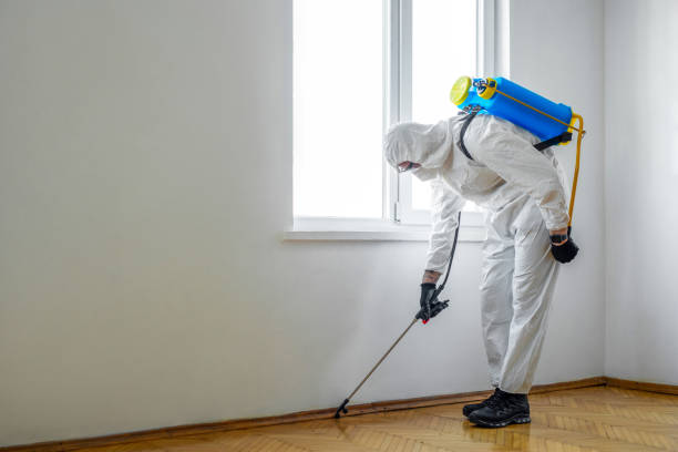 Rogersville, AL Pest Control Company