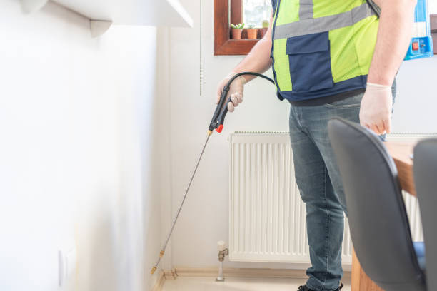 Wasp Removal Services in Rogersville, AL