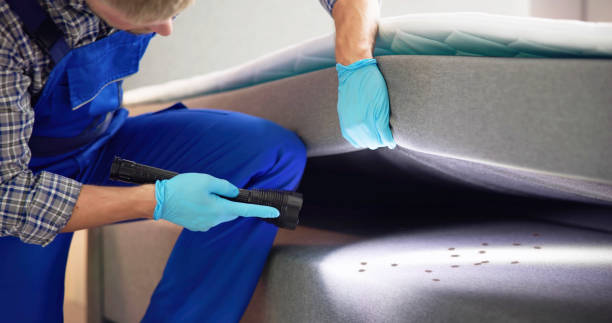 Best Flea Control Services  in Rogersville, AL