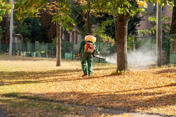 Best Pest Control Cost  in Rogersville, AL