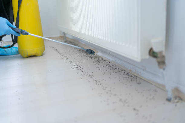 Best Best Pest Control Companies  in Rogersville, AL