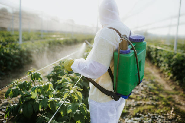 Best Pest Prevention Services  in Rogersville, AL